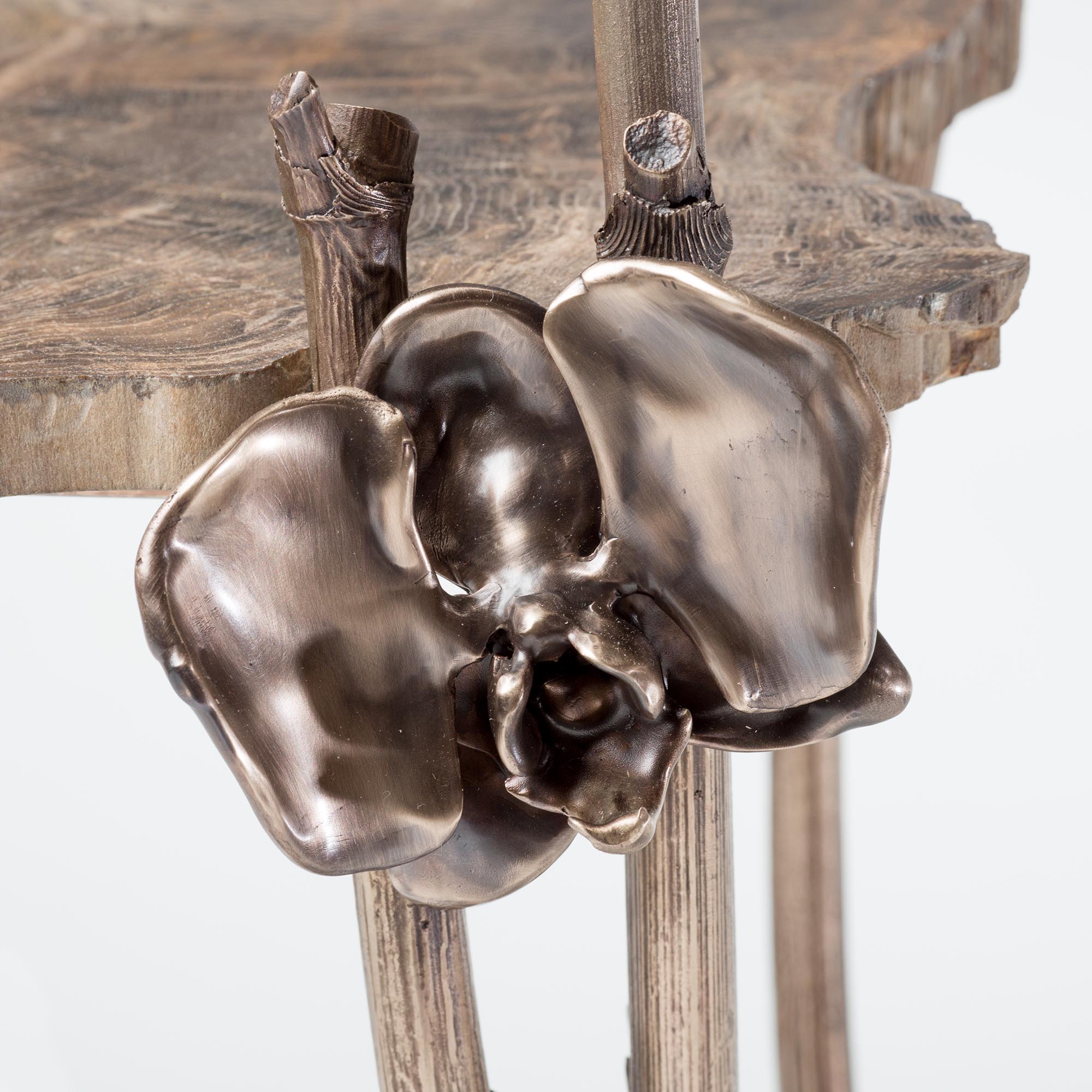 Tuell and Reynolds - Moth Accent Table